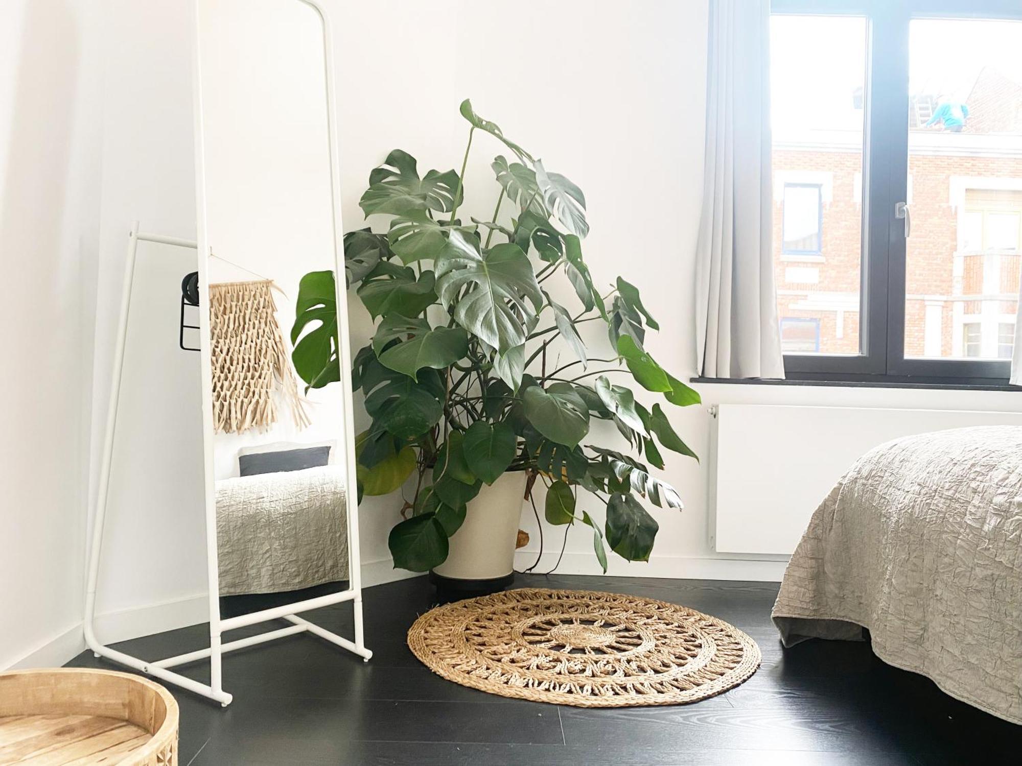 Nyaman Villa Oostende Ngoại thất bức ảnh